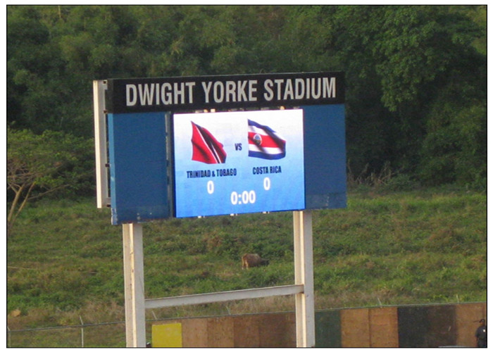 P16 Football Stadium LED Screens White SMD3535 for Advertising Anti - UV